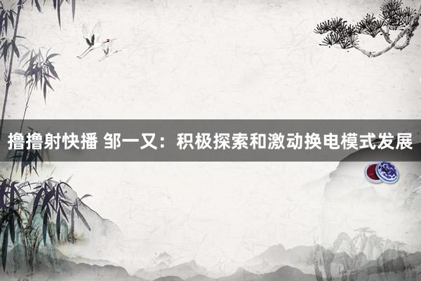 撸撸射快播 邹一又：积极探索和激动换电模式发展