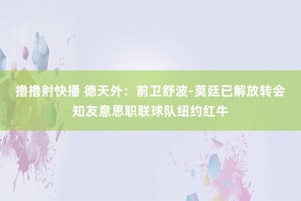 撸撸射快播 德天外：前卫舒波-莫廷已解放转会知友意思职联球队纽约红牛