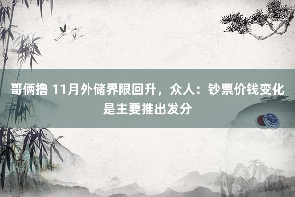 哥俩撸 11月外储界限回升，众人：钞票价钱变化是主要推出发分