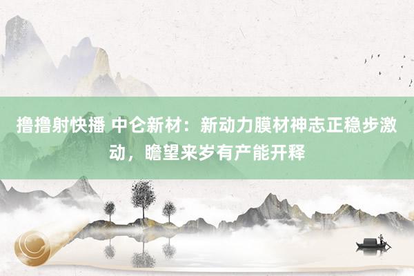 撸撸射快播 中仑新材：新动力膜材神志正稳步激动，瞻望来岁有产能开释