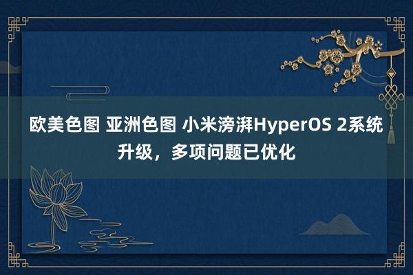 欧美色图 亚洲色图 小米滂湃HyperOS 2系统升级，多项问题已优化