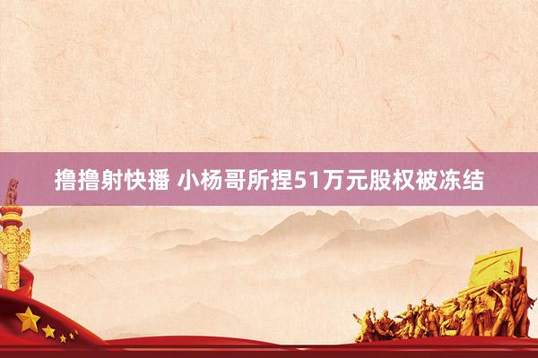 撸撸射快播 小杨哥所捏51万元股权被冻结