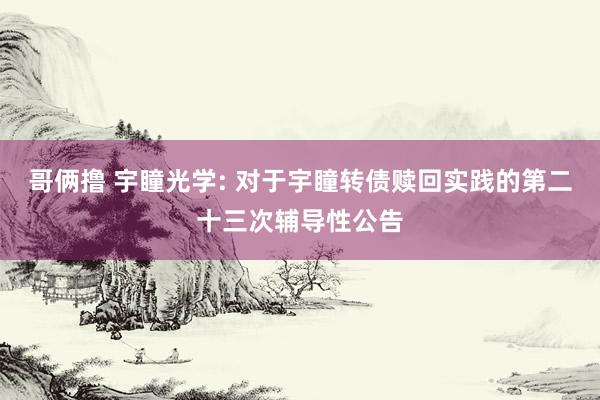 哥俩撸 宇瞳光学: 对于宇瞳转债赎回实践的第二十三次辅导性公告