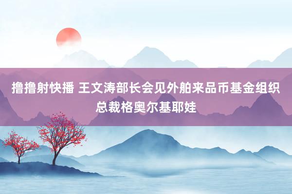 撸撸射快播 王文涛部长会见外舶来品币基金组织总裁格奥尔基耶娃