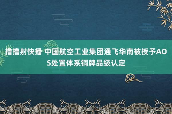 撸撸射快播 中国航空工业集团通飞华南被授予AOS处置体系铜牌品级认定