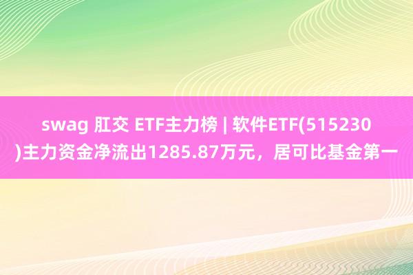 swag 肛交 ETF主力榜 | 软件ETF(515230)主力资金净流出1285.87万元，居可比基金第一