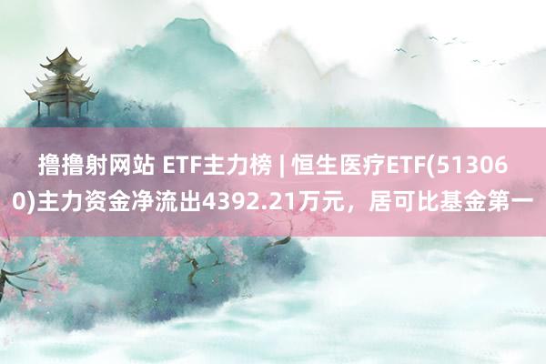 撸撸射网站 ETF主力榜 | 恒生医疗ETF(513060)主力资金净流出4392.21万元，居可比基金第一