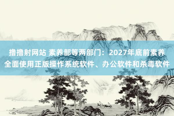 撸撸射网站 素养部等两部门：2027年底前素养全面使用正版操作系统软件、办公软件和杀毒软件
