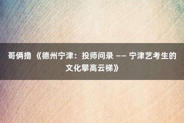 哥俩撸 《德州宁津：投师问录 —— 宁津艺考生的文化攀高云梯》