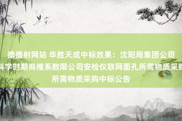 撸撸射网站 华胜天成中标效果：沈阳局集团公司沈阳铁谈科学时期商榷系数限公司安检仪联网面孔所需物质采购中标公告