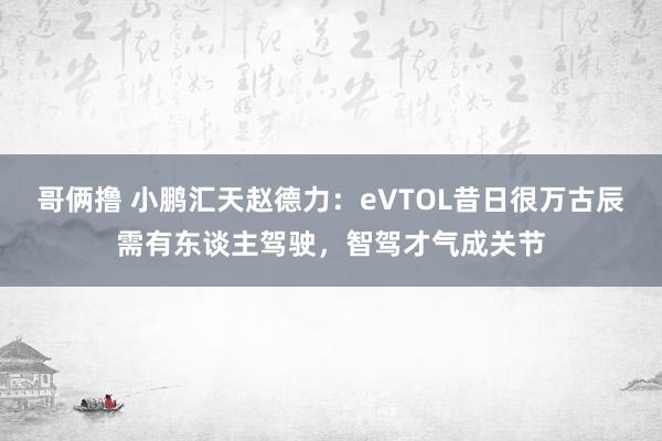 哥俩撸 小鹏汇天赵德力：eVTOL昔日很万古辰需有东谈主驾驶，智驾才气成关节