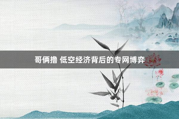 哥俩撸 低空经济背后的专网博弈