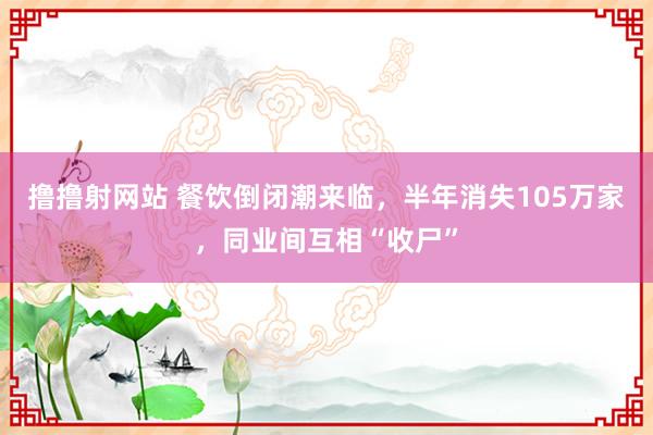 撸撸射网站 餐饮倒闭潮来临，半年消失105万家，同业间互相“收尸”