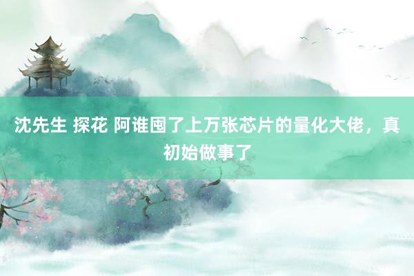 沈先生 探花 阿谁囤了上万张芯片的量化大佬，真初始做事了