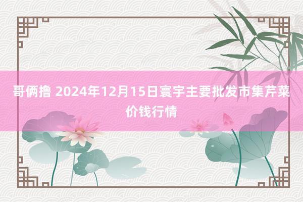 哥俩撸 2024年12月15日寰宇主要批发市集芹菜价钱行情