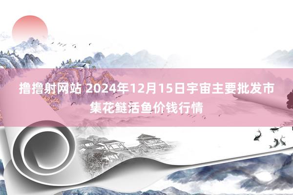 撸撸射网站 2024年12月15日宇宙主要批发市集花鲢活鱼价钱行情