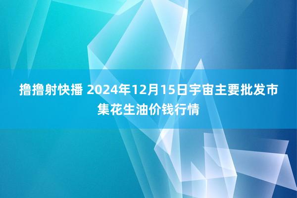 撸撸射快播 2024年12月15日宇宙主要批发市集花生油价钱行情