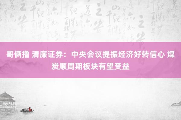 哥俩撸 清廉证券：中央会议提振经济好转信心 煤炭顺周期板块有望受益