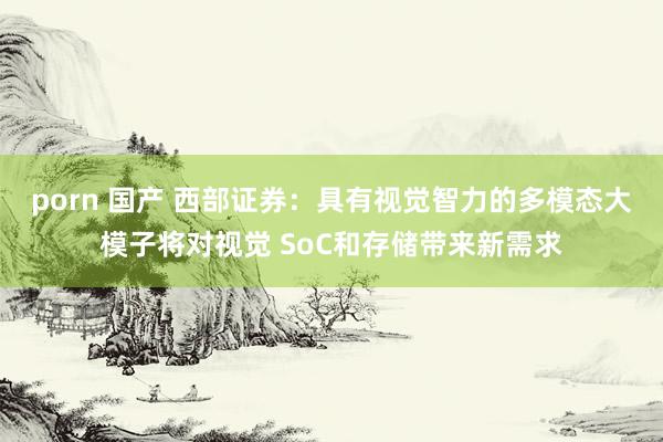 porn 国产 西部证券：具有视觉智力的多模态大模子将对视觉 SoC和存储带来新需求