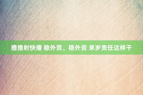 撸撸射快播 稳外贸、稳外资 来岁责任这样干