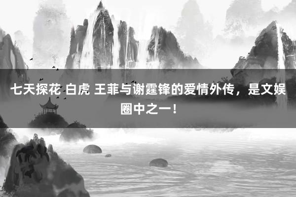 七天探花 白虎 王菲与谢霆锋的爱情外传，是文娱圈中之一！