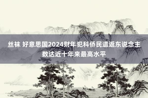 丝袜 好意思国2024财年犯科侨民遣返东说念主数达近十年来最高水平