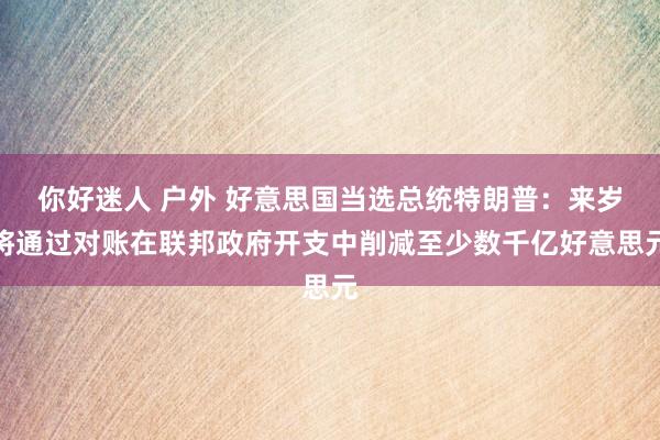 你好迷人 户外 好意思国当选总统特朗普：来岁将通过对账在联邦政府开支中削减至少数千亿好意思元
