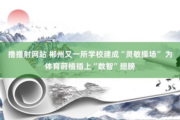 撸撸射网站 郴州又一所学校建成“灵敏操场” 为体育莳植插上“数智”翅膀