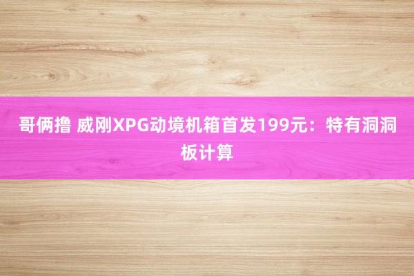 哥俩撸 威刚XPG动境机箱首发199元：特有洞洞板计算