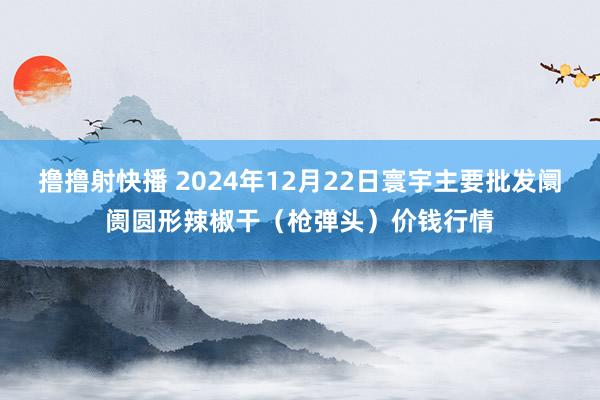撸撸射快播 2024年12月22日寰宇主要批发阛阓圆形辣椒干（枪弹头）价钱行情