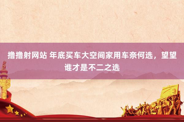 撸撸射网站 年底买车大空间家用车奈何选，望望谁才是不二之选
