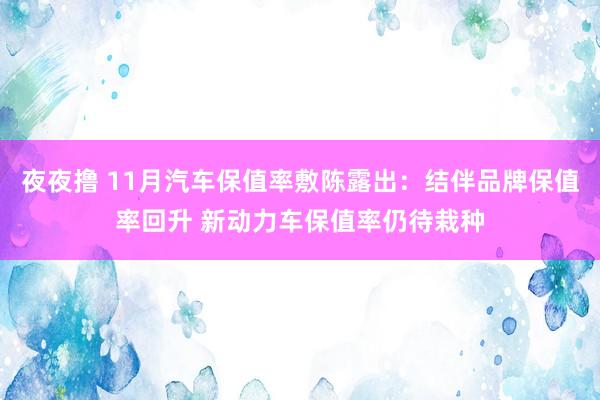 夜夜撸 11月汽车保值率敷陈露出：结伴品牌保值率回升 新动力车保值率仍待栽种