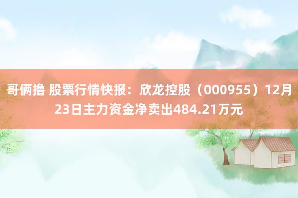 哥俩撸 股票行情快报：欣龙控股（000955）12月23日主力资金净卖出484.21万元