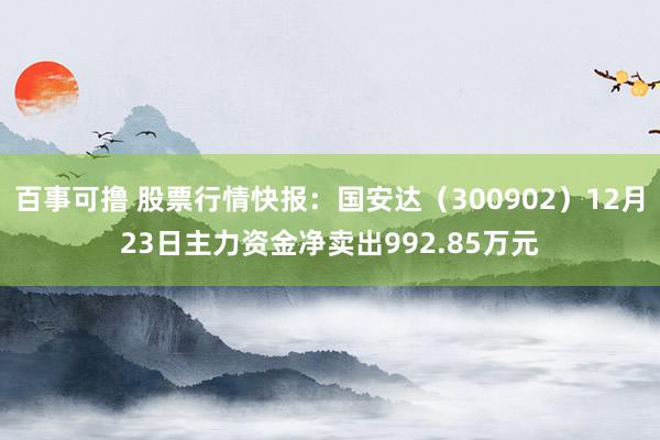 百事可撸 股票行情快报：国安达（300902）12月23日主力资金净卖出992.85万元