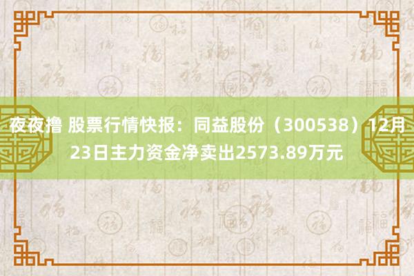 夜夜撸 股票行情快报：同益股份（300538）12月23日主力资金净卖出2573.89万元