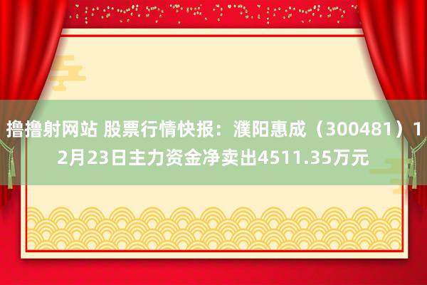 撸撸射网站 股票行情快报：濮阳惠成（300481）12月23日主力资金净卖出4511.35万元