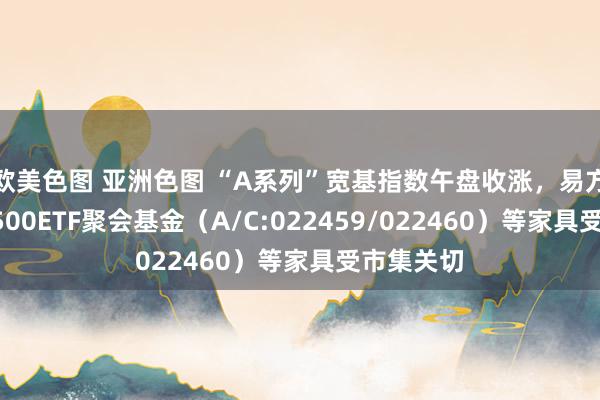 欧美色图 亚洲色图 “A系列”宽基指数午盘收涨，易方达中证A500ETF聚会基金（A/C:022459/022460）等家具受市集关切