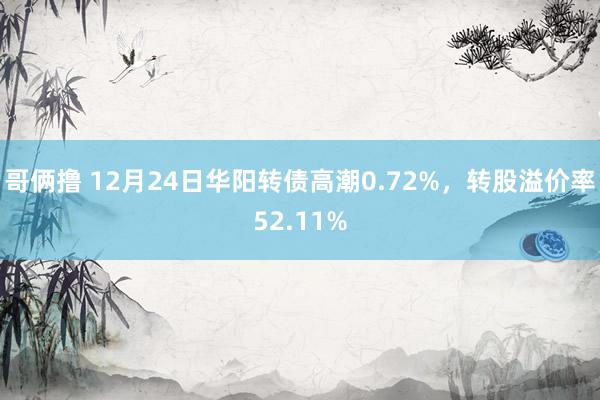哥俩撸 12月24日华阳转债高潮0.72%，转股溢价率52.11%