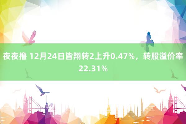 夜夜撸 12月24日皆翔转2上升0.47%，转股溢价率22.31%