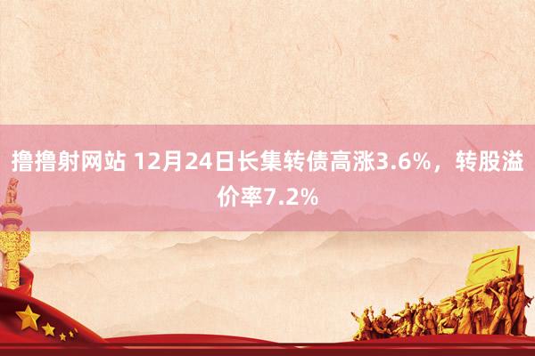 撸撸射网站 12月24日长集转债高涨3.6%，转股溢价率7.2%