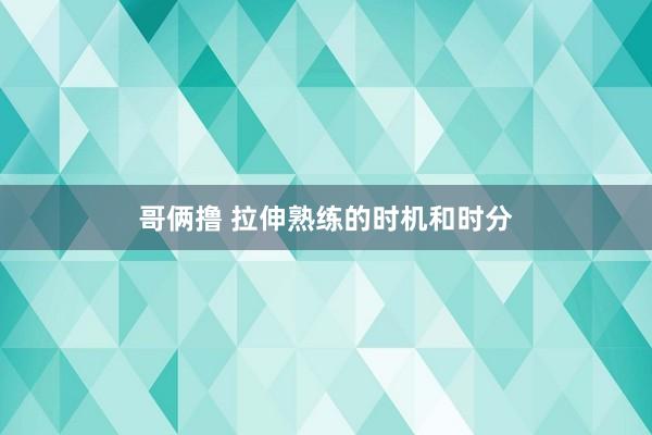 哥俩撸 拉伸熟练的时机和时分