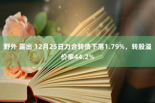 野外 露出 12月25日力合转债下落1.79%，转股溢价率44.2%