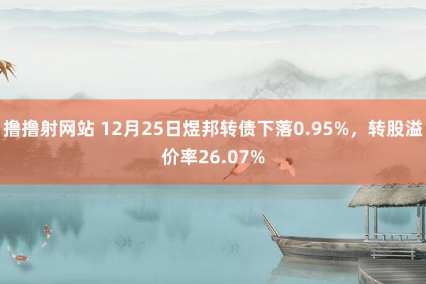 撸撸射网站 12月25日煜邦转债下落0.95%，转股溢价率26.07%