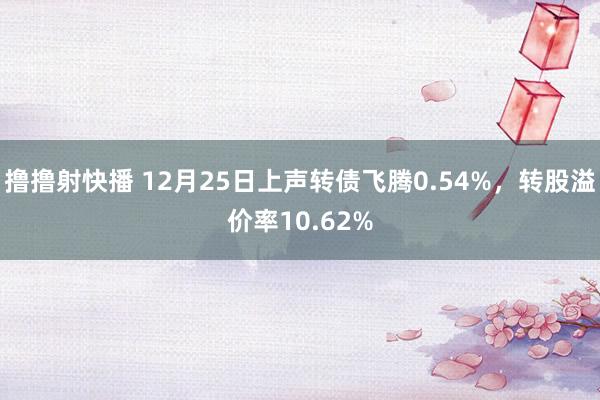 撸撸射快播 12月25日上声转债飞腾0.54%，转股溢价率10.62%