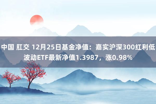 中国 肛交 12月25日基金净值：嘉实沪深300红利低波动ETF最新净值1.3987，涨0.98%