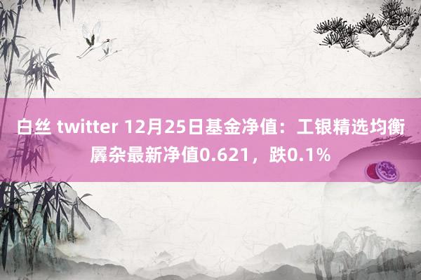 白丝 twitter 12月25日基金净值：工银精选均衡羼杂最新净值0.621，跌0.1%