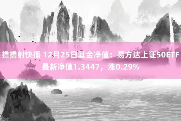 撸撸射快播 12月25日基金净值：易方达上证50ETF最新净值1.3447，涨0.29%