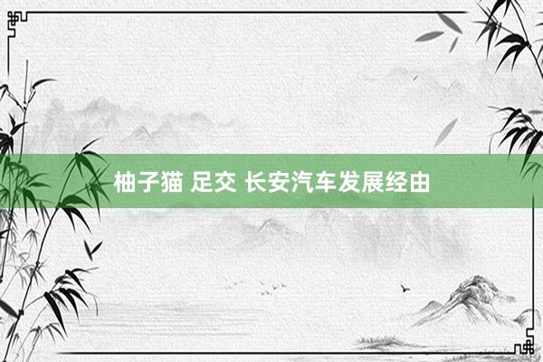 柚子猫 足交 长安汽车发展经由