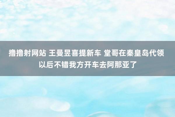 撸撸射网站 王曼昱喜提新车 堂哥在秦皇岛代领 以后不错我方开车去阿那亚了