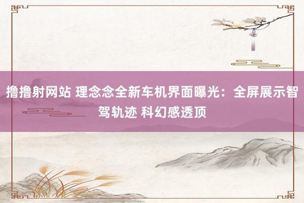 撸撸射网站 理念念全新车机界面曝光：全屏展示智驾轨迹 科幻感透顶